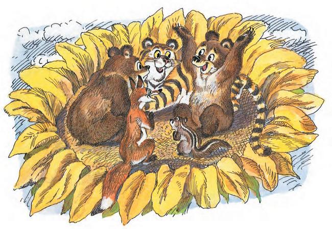 ������ ��� ������ ������